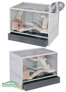 Vivario 60